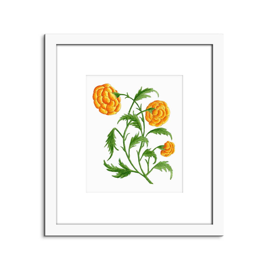 Kannika Art Marigolds | Art Print